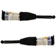 Rear, Driver and Passenger Side Air Strut, AWD