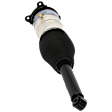 Rear, Driver and Passenger Side Air Strut, AWD