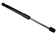 SET-URO51237289753-2 Driver and Passenger Side Hood Lift Support, Set of 2