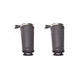 2004 Mercury Marauder - Rear, Driver and Passenger Side, Air Spring