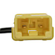 1999 Honda Accord - Air Bag Clockspring