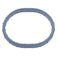 PG91 Intake Plenum Gasket