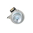 PR316 Standard OE Replacement Fuel Pressure Regulator