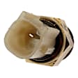 1997 Toyota Paseo - Fan Switch, Standard OE Replacement