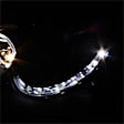 5038036 Driver and Passenger Side Halogen Headlight, With bulb(s), Clear Lens, Black Interior, Signature Series