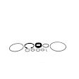 8401613 Power Steering Pump Seal Kit