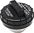 10838 Gas Cap