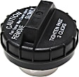 10838 Gas Cap