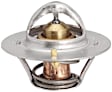 13869 Thermostat