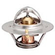 13869 Thermostat