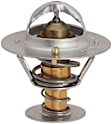 13879 Thermostat