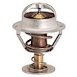 13889 Thermostat