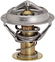 14089 Thermostat