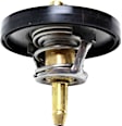 14369 Thermostat