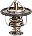 48239 Thermostat