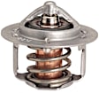 48319 Thermostat