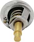 48829 Thermostat