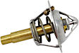 48829 Thermostat