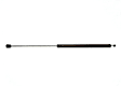2004 Nissan Maxima - Driver and Passenger Side Lift Support Hood, 10.82 in. Compressed Length, Sedan