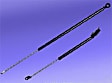2008 Lexus RX350 - Driver and Passenger Side Lift Support Hood, Except Japan Built