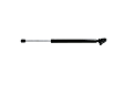 4857 Driver Side Liftgate Lift Support, Sport Utility, Sold Individually