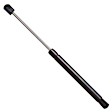 6197 Driver or Passenger Side Liftgate Lift Support, Sport Utility, Sold Individually