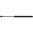 6269 Driver or Passenger Side Liftgate Lift Support, 2.5L, 4Cyl, Sold Individually