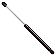 6270 Driver and Passenger Side Hood Lift Support, Base Coupe, Sold Individually