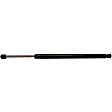 2006 Infiniti QX56 - Driver or Passenger Side Lift Support Liftgate, For Liftgate