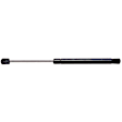 6472 Driver or Passenger Side Trunk Lid Lift Support, Coupe, Sold Individually