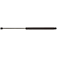 2013 Toyota 4Runner - Driver or Passenger Side Lift Support Liftgate, For Liftgate