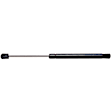 6786 Driver or Passenger Side Trunk Lid Lift Support, Sold Individually
