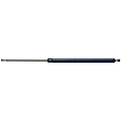 6832 Driver or Passenger Side Liftgate Lift Support, Sold Individually