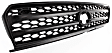 Grille Assembly, Painted Black Shell and Insert, Base Model, 4 Cyl., 2.0L Engine