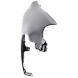 Front, Passenger Side Fender, CE/LE Models