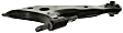 Front, Passenger Side, Lower Control Arm, without Ball Joint, with Bushing