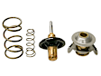 LR005765 Thermostat - Replaces OE Numbers