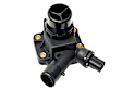 LR006071 Thermostat