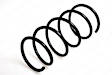 4008452 Front Coil Springs, Sold Individually