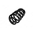 4204255 Rear Coil Springs, Sold individually