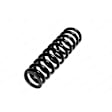 4256860 Rear Coil Springs, Sold individually