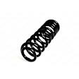 4256870 Rear, Driver or Passenger Side Coil Springs, Sold individually