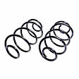 4412124 Rear Coil Springs, Set of 2