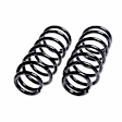 4462000 Rear Coil Springs, Set of 2