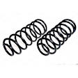 4492505 Rear Coil Springs, Sold individually