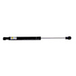 8004224 Driver or Passenger Side Hood Lift Support, Sold Individually