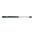 8004228 Driver or Passenger Side Hood Lift Support, Sold Individually
