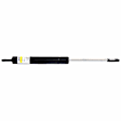 1990 BMW 325i - Driver or Passenger Side Lift Support Sedan; For Hood, Sedan