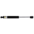 2004 BMW X3 - Driver or Passenger Side Lift Support Hood, For Hood