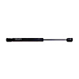 8095808 Driver or Passenger Side Hood Lift Support, Sold Individually
